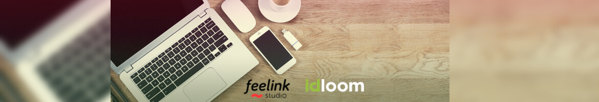 partners with Feelink