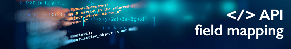 API field mapping feature - user guide